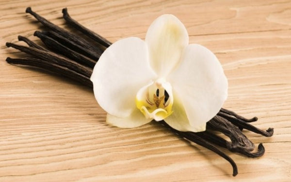 TUBEROSE (ARW)
